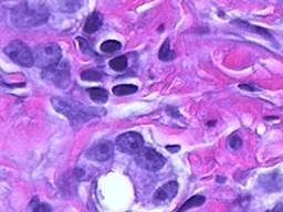 Rodrigue KONAN's avatar